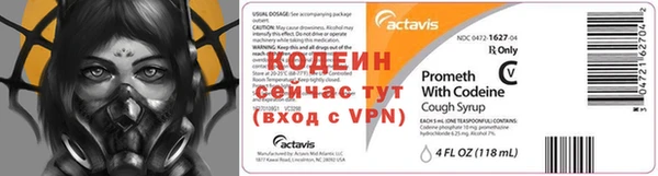 ECSTASY Алзамай