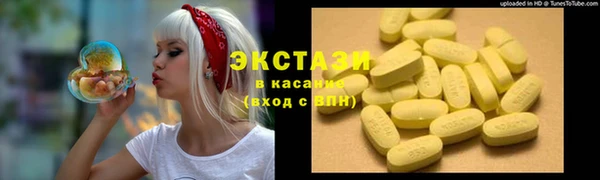 ECSTASY Алзамай