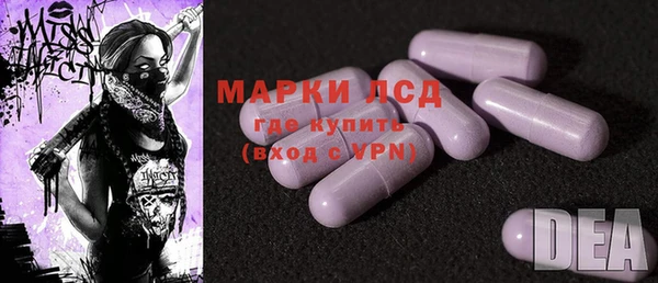 ГАЛЛЮЦИНОГЕННЫЕ ГРИБЫ Аркадак