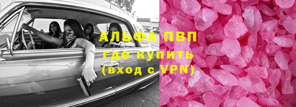 ECSTASY Алзамай