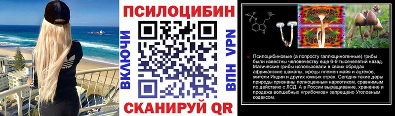 OMG рабочий сайт  shop формула  Петропавловск-Камчатский  Псилоцибиновые грибы мицелий  закладки 