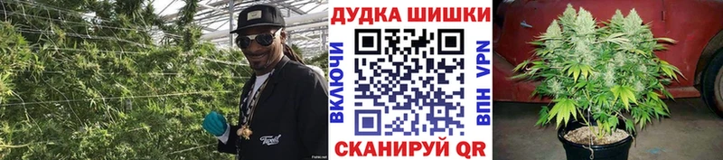 Конопля конопля  наркошоп  Петропавловск-Камчатский 